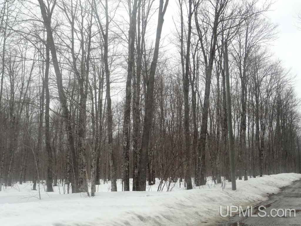 N7568 Monette Road Munising, MI 49862 - Photo 4 of 5