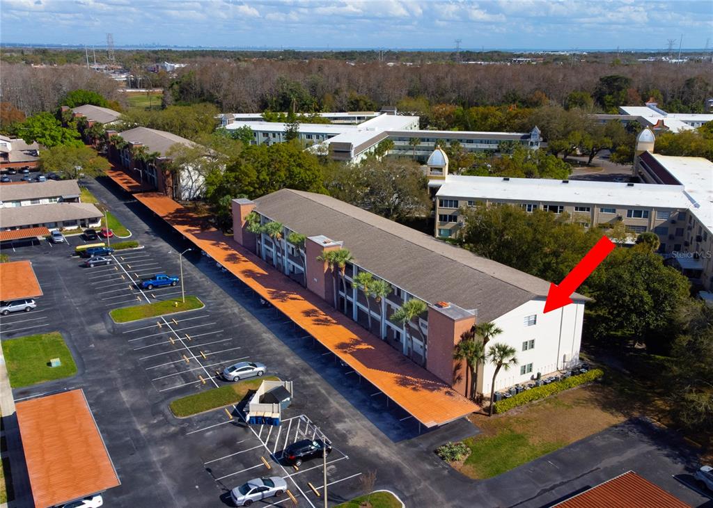 2452 Enterprise Road, Unit 2030 Clearwater, FL 33763 - Photo 2 of 44