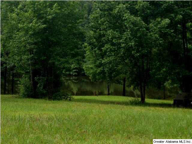 1416 Chandler Mountain Road Steele, AL 35987 - Photo 21 of 25