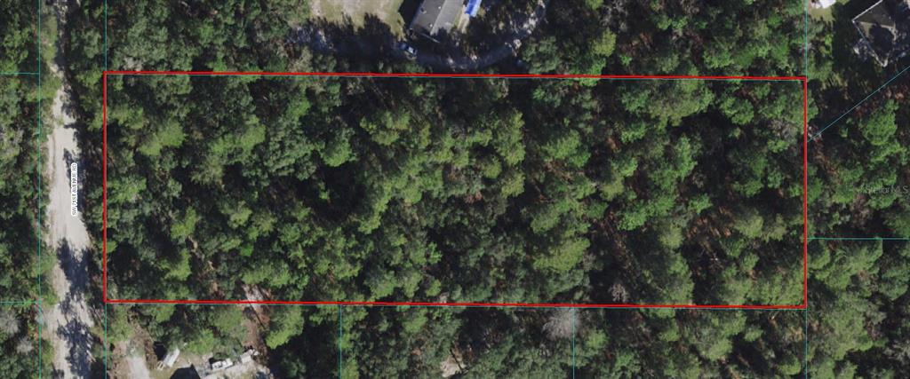 5 Southwest 71st Ave Road Ocala, FL 34473 - Photo 1 of 1 a view of a pathway