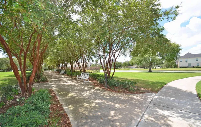 a view of a park with tree s