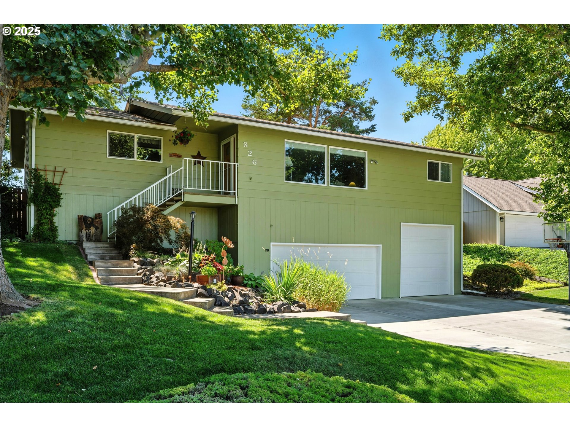 a view of a backyard with plants and a patio