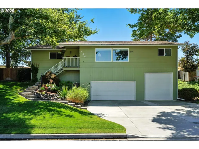 a view of a backyard