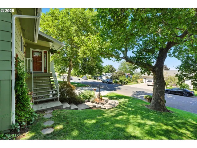 a view of a yard with plants and a large tree