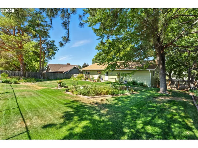 a view of yard with green space
