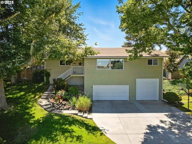 a view of a backyard with table and chairs potted plants and large tree