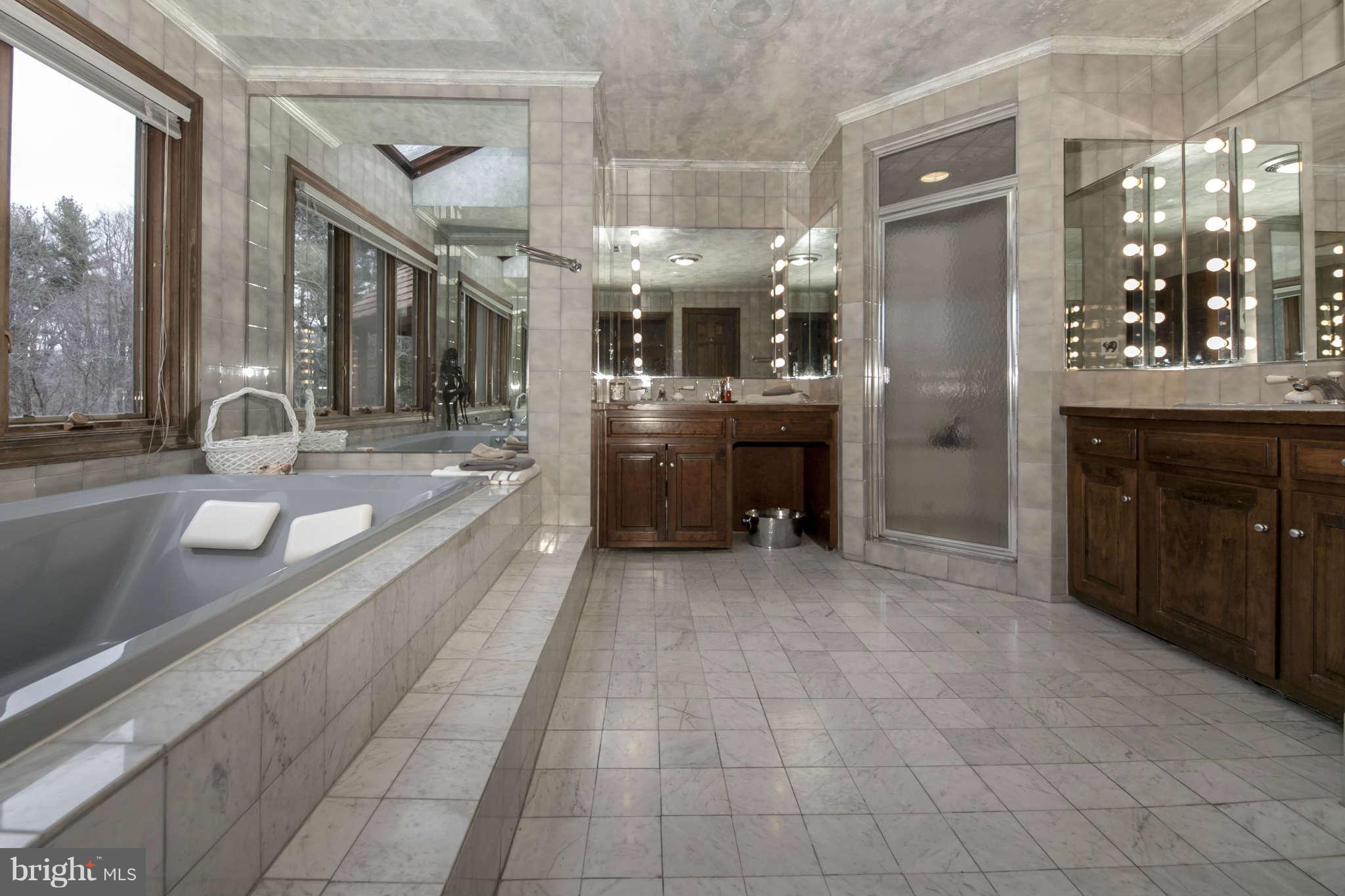 15701 Seneca Road Germantown, MD 20874 - Photo 22 of 30 Bath (Master)