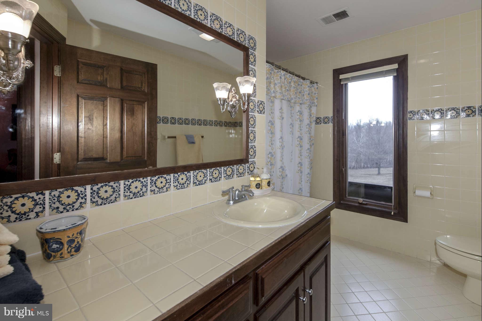 15701 Seneca Road Germantown, MD 20874 - Photo 24 of 30 Bath (Master)