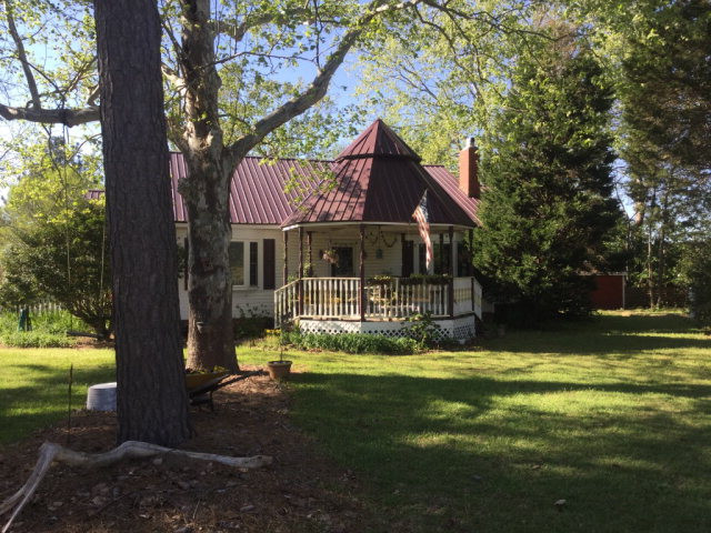 Main View