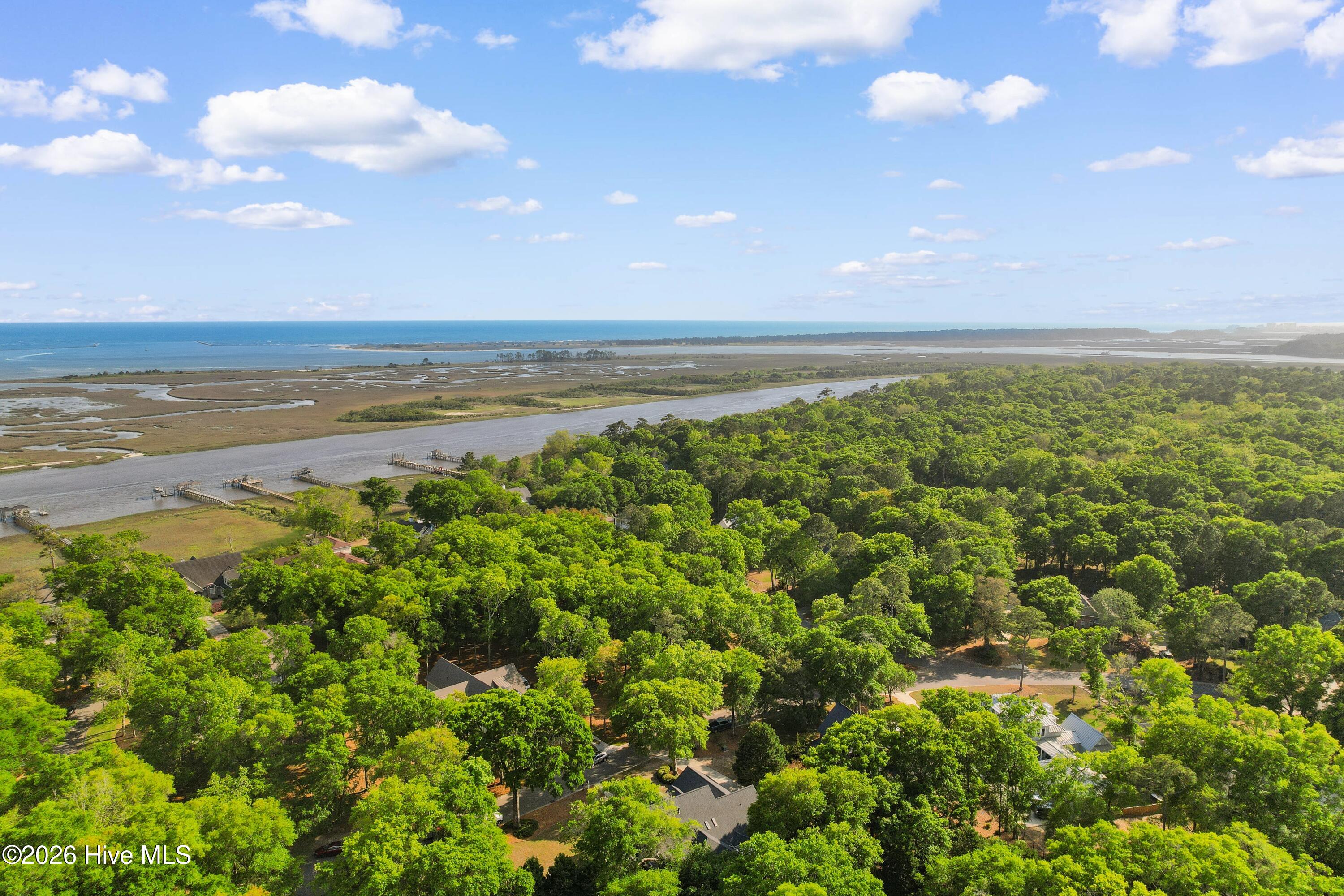 1308 Harbour Watch Southwest Calabash, NC 28467 - Photo 56 of 63
