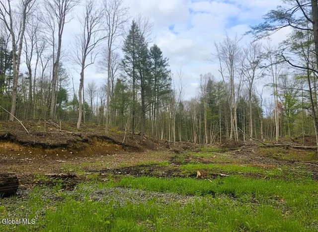 $55,000 | L42 Barlow Road, Gloversville, NY 12078