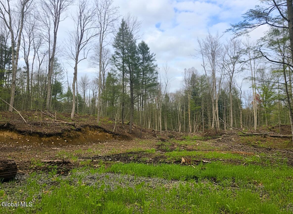 L42 Barlow Road Gloversville, NY 12078 - Photo 1 of 7 Land 1