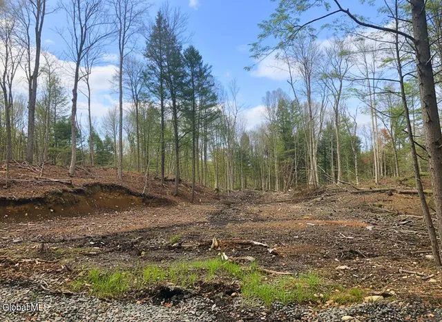 $55,000 | L42 Barlow Road, Gloversville, NY 12078