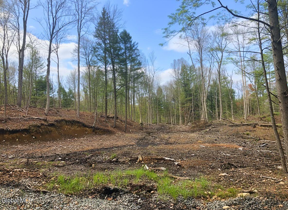 L42 Barlow Road Gloversville, NY 12078 - Photo 2 of 7 Land 2