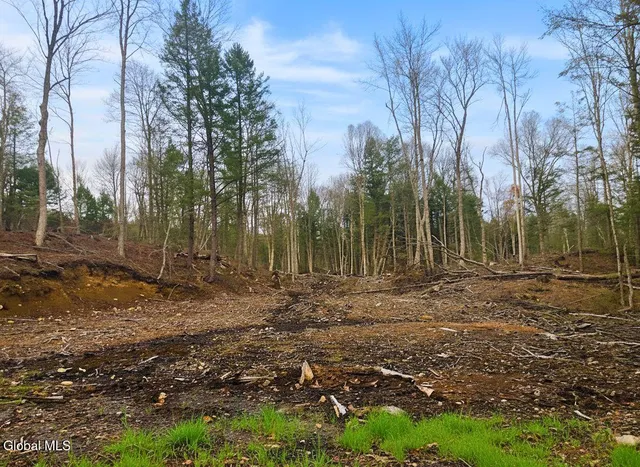 $55,000 | L42 Barlow Road, Gloversville, NY 12078