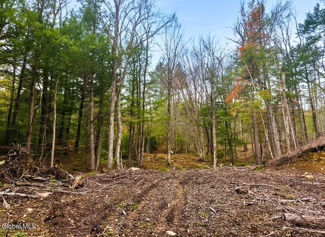 $55,000 | L42 Barlow Road, Gloversville, NY 12078