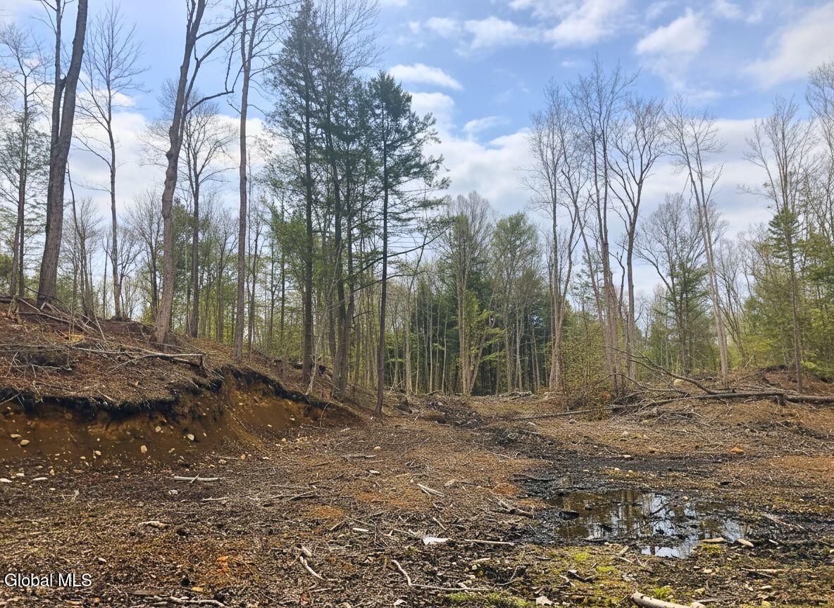 L42 Barlow Road Gloversville, NY 12078 - Photo 5 of 7 Land 5