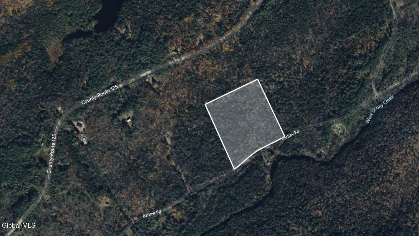 L42 Barlow Road Gloversville, NY 12078 - Photo 6 of 7 Parcel map