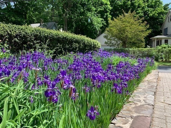 2 Cavanagh Road Wellesley, MA 02481 - Photo 33 of 41