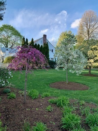 2 Cavanagh Road Wellesley, MA 02481 - Photo 35 of 41