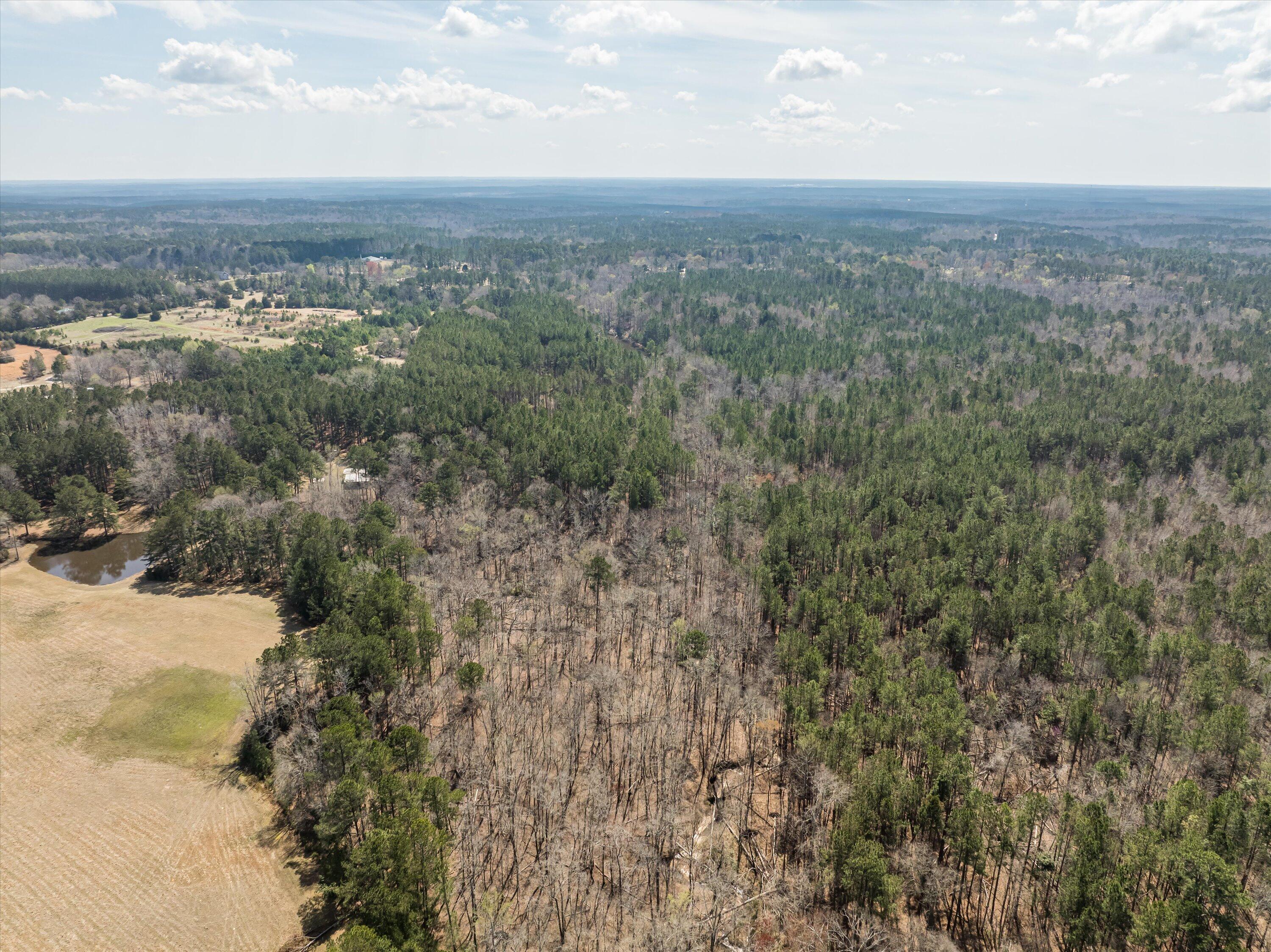 3350 Lloyd Paschal Road Appling, GA 30802 - Photo 14 of 16 13-DJI_0446-HDR