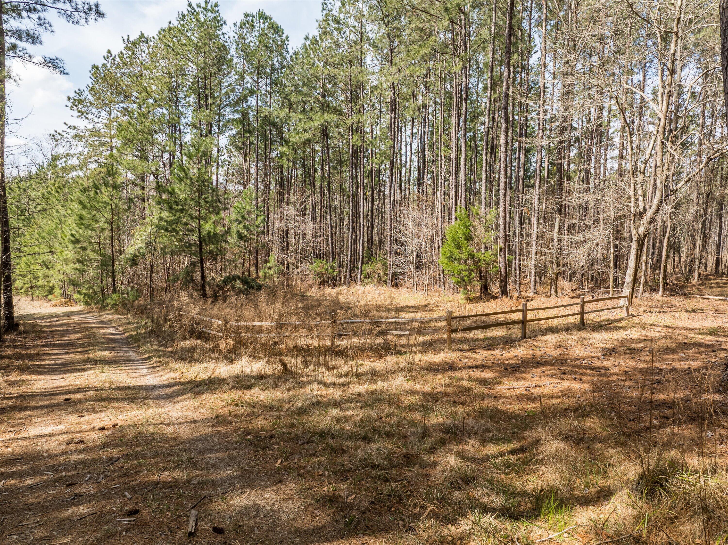 3350 Lloyd Paschal Road Appling, GA 30802 - Photo 2 of 16 23-DJI_0476-HDR