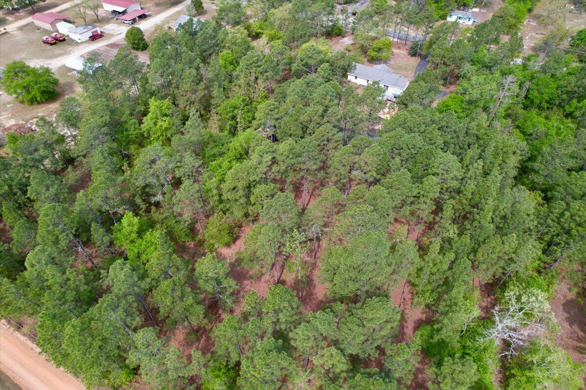 1532 Wire Road Aiken, SC 29805 - Photo 42 of 51