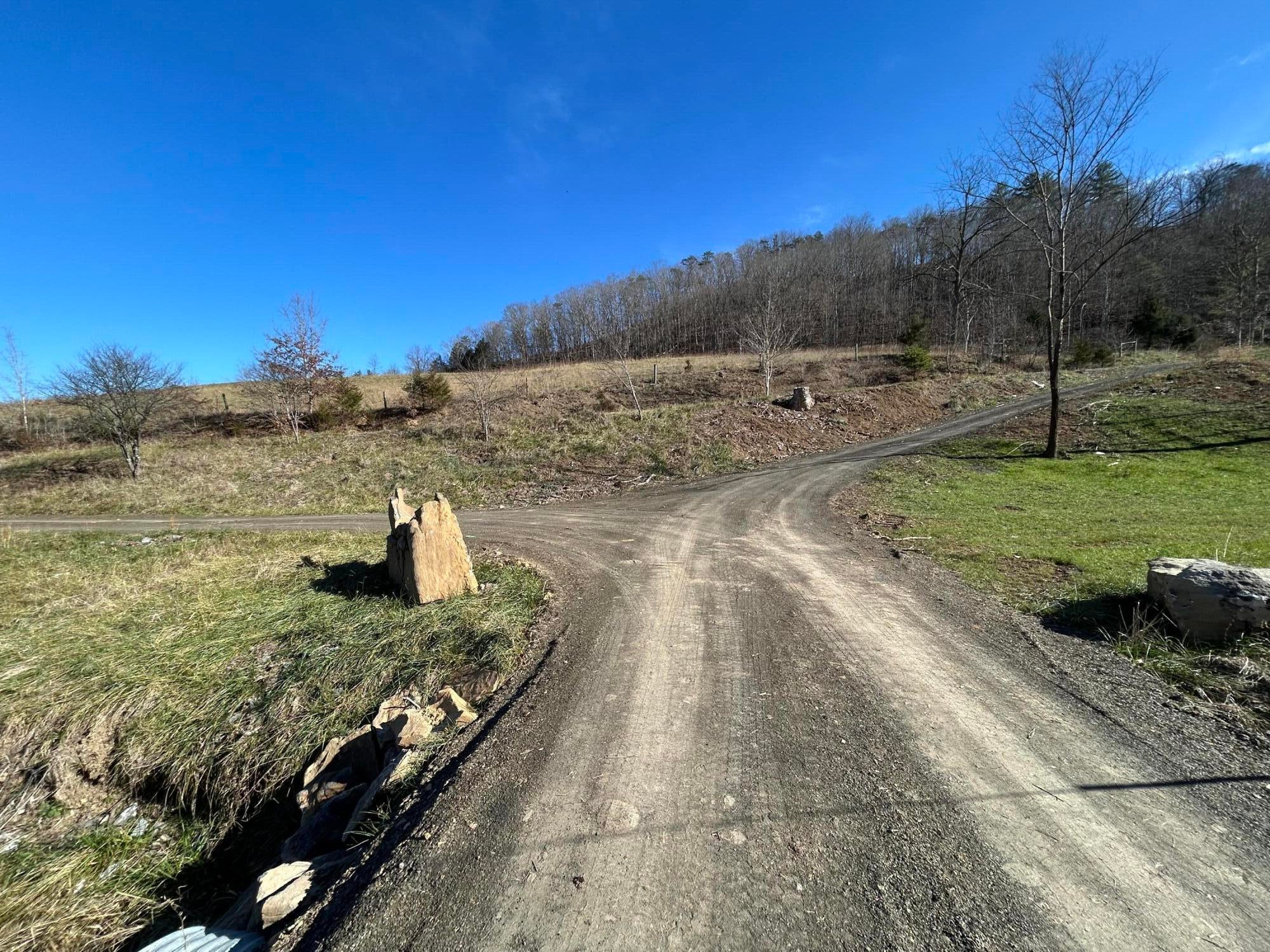 54 Pond Ridge Road Lindside, WV 24951 - Photo 68 of 80 Gallery Image 68