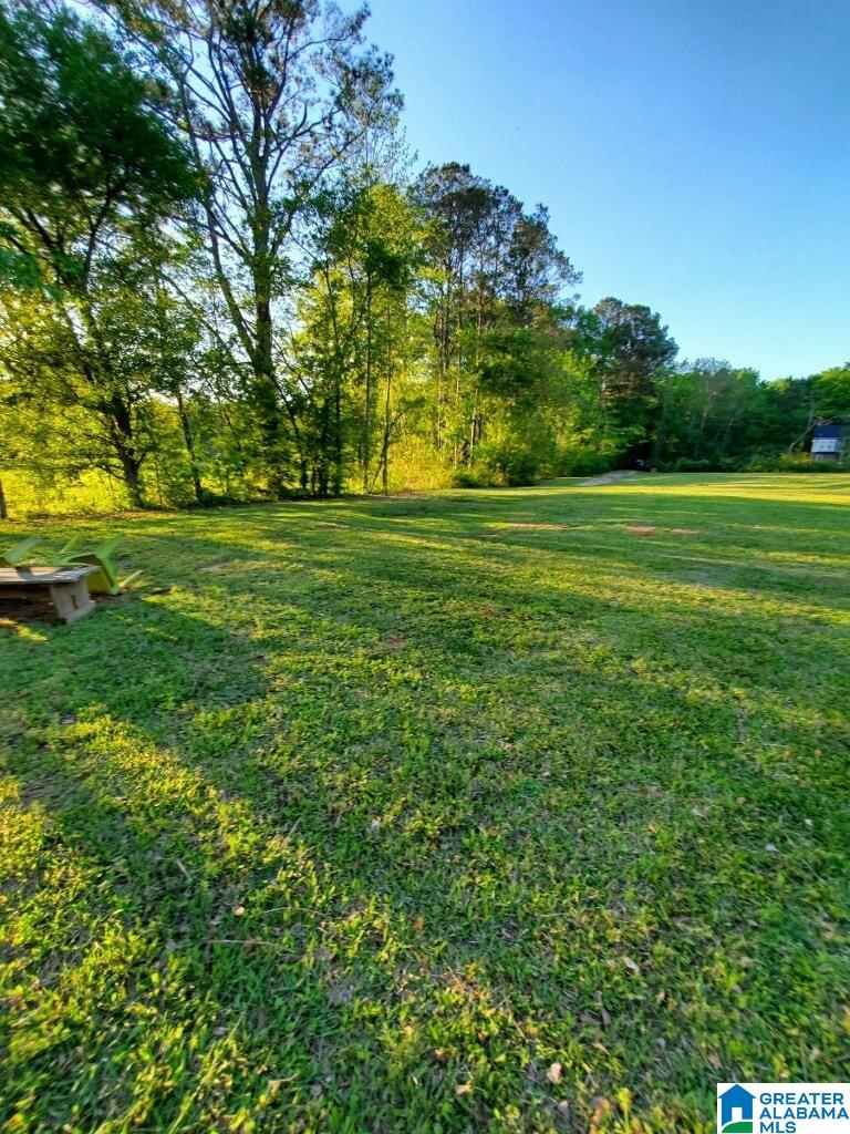 253 Carleton Point Lane, Unit 12 Wilsonville, AL 35186 - Photo 3 of 24