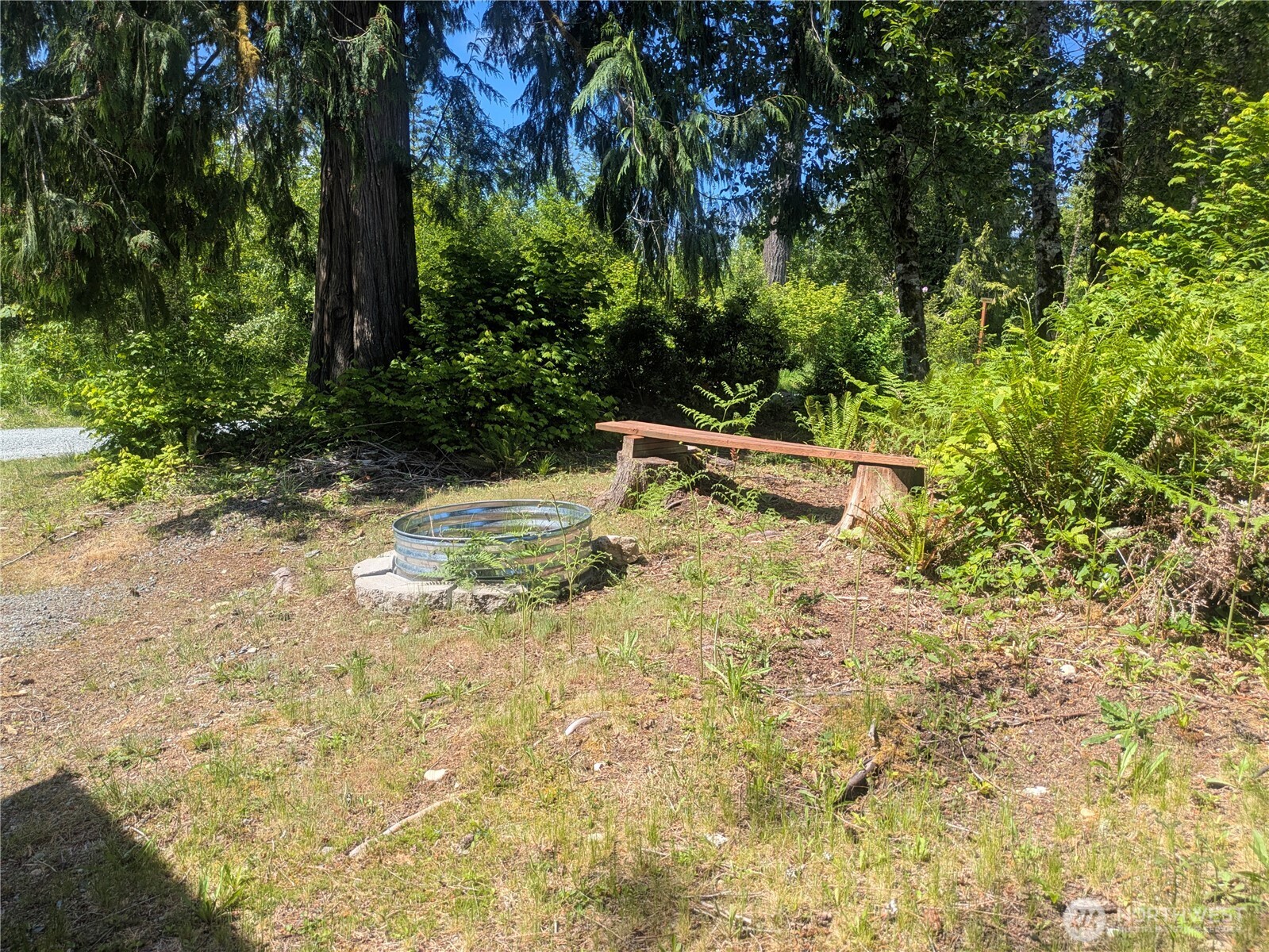 44957 Kachess Trail, Unit 2C97 Concrete, WA 98237 - Photo 11 of 16 a view of a yard with plants and trees