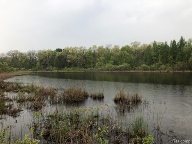 11403 Joslin Lake Road Gregory, MI 48137 - Photo 45 of 45 IMG_9726.jpg
