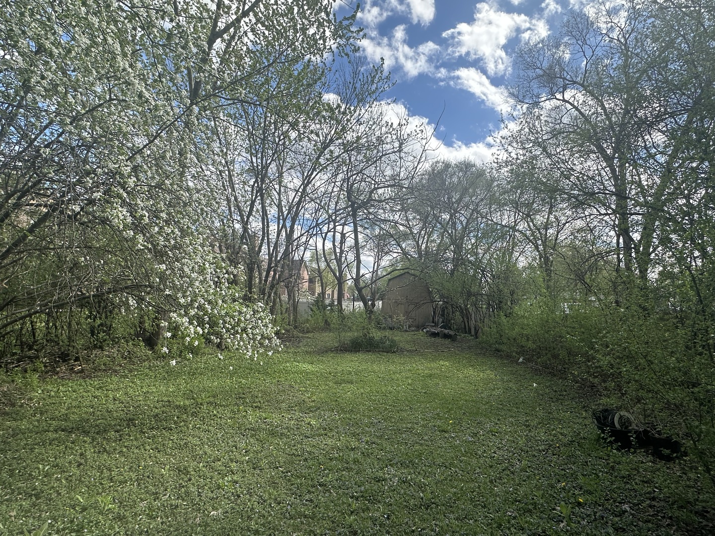 309 Landmeier Road Elk Grove Village, IL 60007 - Photo 6 of 15 a big yard with lots of green space and trees