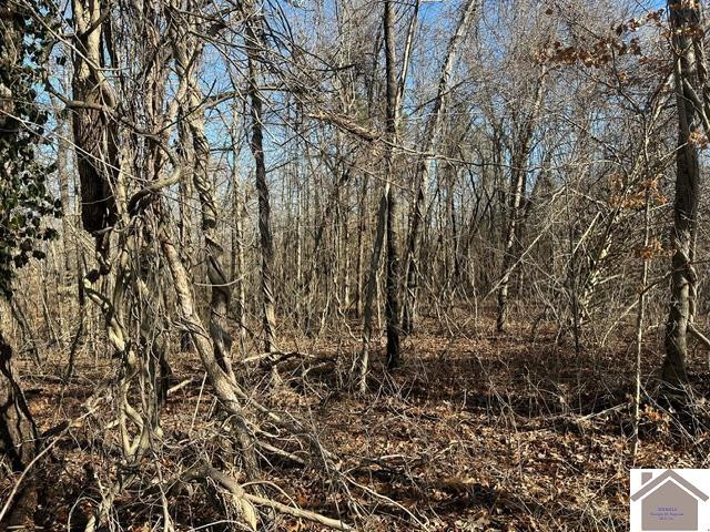 0 Fred Jones Road Hardin, KY 42048 - Photo 3 of 7 Photo 5