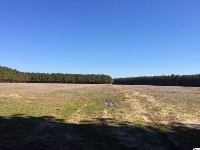 77-acs Privetts Road Conway, SC 29526 - Photo 1 of 8 Gallery Image 1