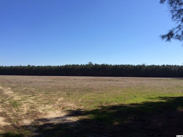 77-acs Privetts Road Conway, SC 29526 - Photo 2 of 8 Gallery Image 2