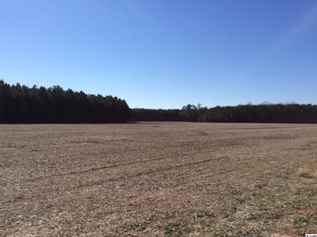 77-acs Privetts Road Conway, SC 29526 - Photo 5 of 8 Gallery Image 5