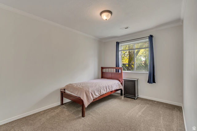 653 South 500 West, Unit 1 Provo, UT 84601 - Photo 11 of 17 Carpeted room featuring a large window, crown molding, baseboards, and a flush mount ceiling light