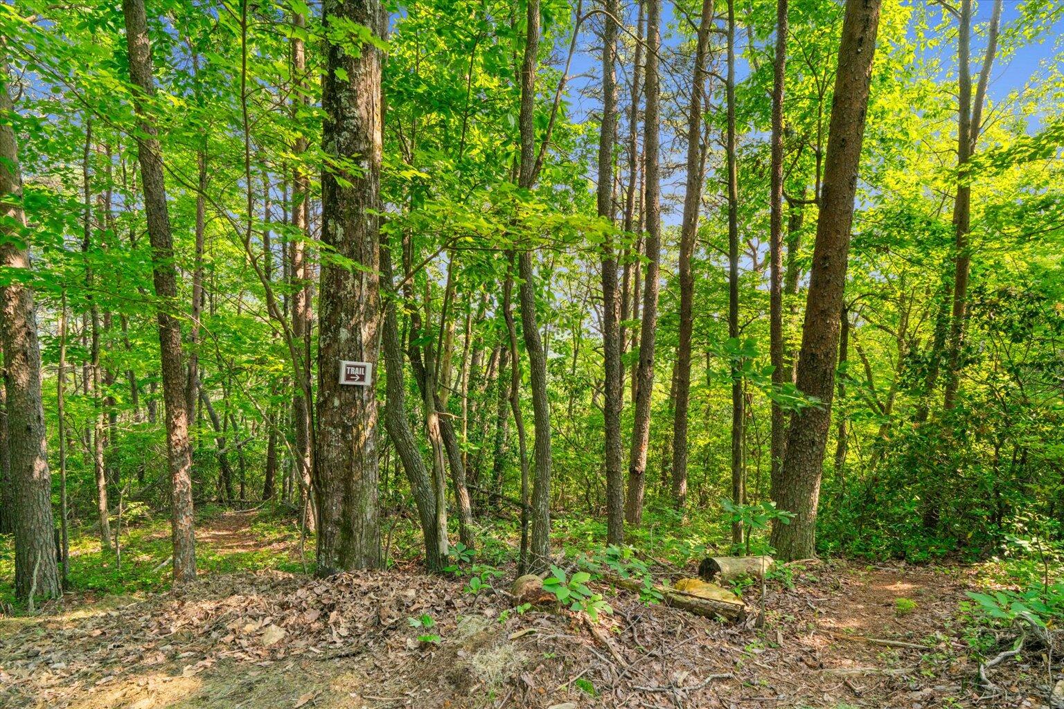 12 Shivas Crest Rising Fawn, GA 30738 - Photo 43 of 48 51-51