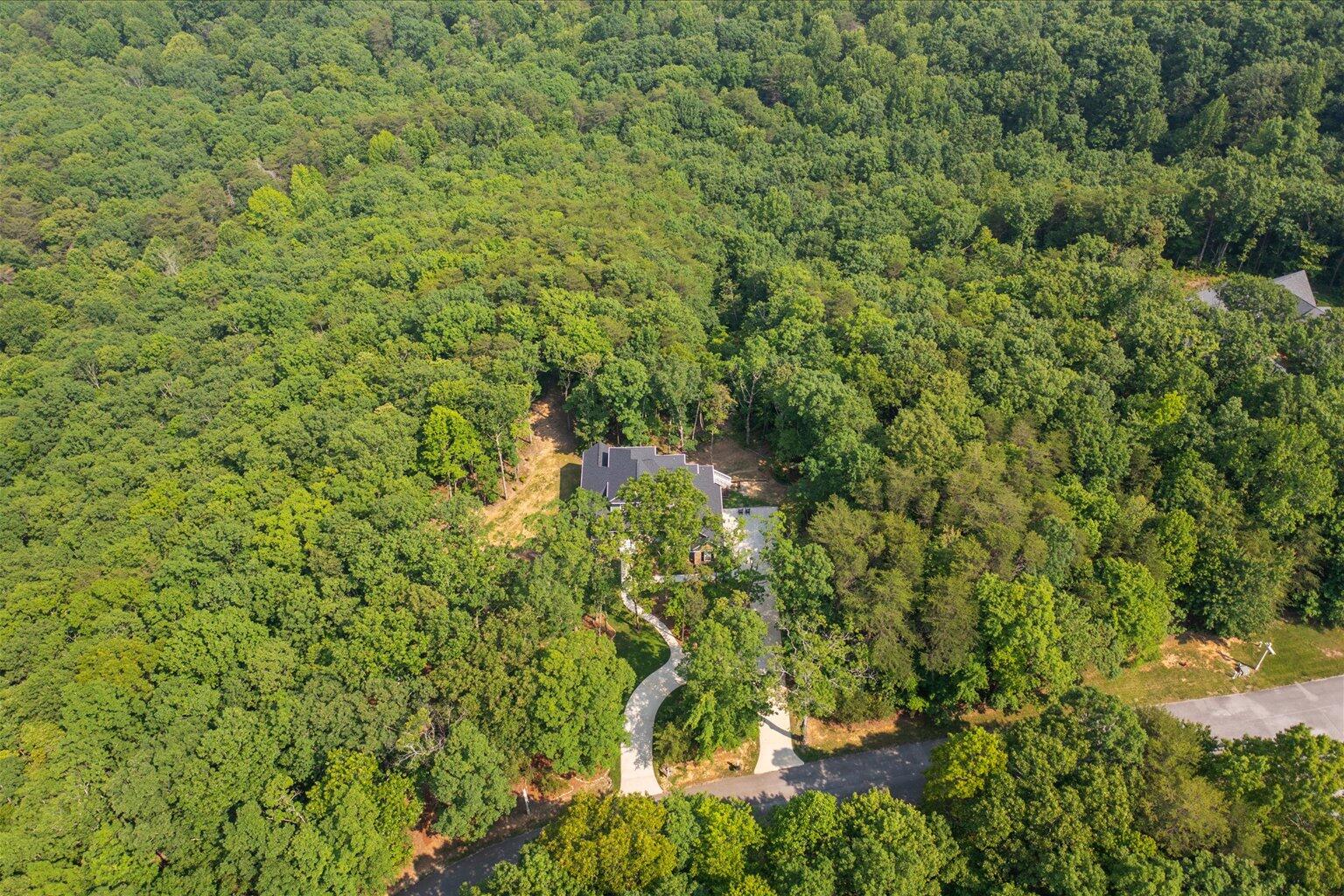 12 Shivas Crest Rising Fawn, GA 30738 - Photo 46 of 48 58-58