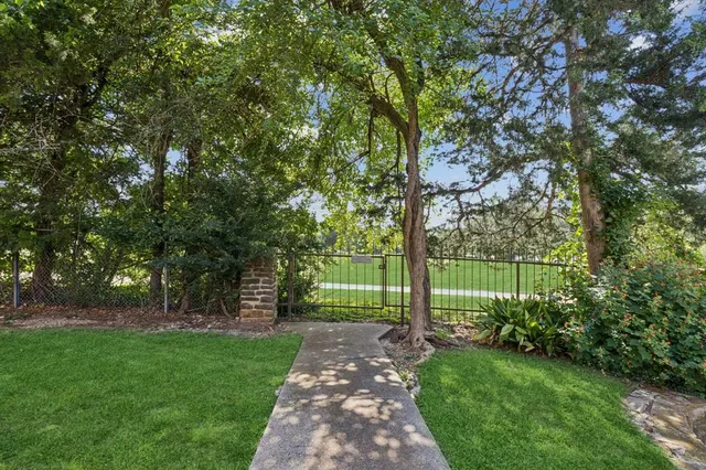a view of a park with large trees