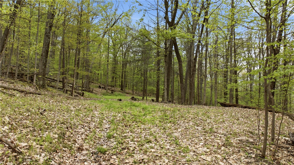 Silvernail Road Hammondsport, NY 14840 - Photo 20 of 25