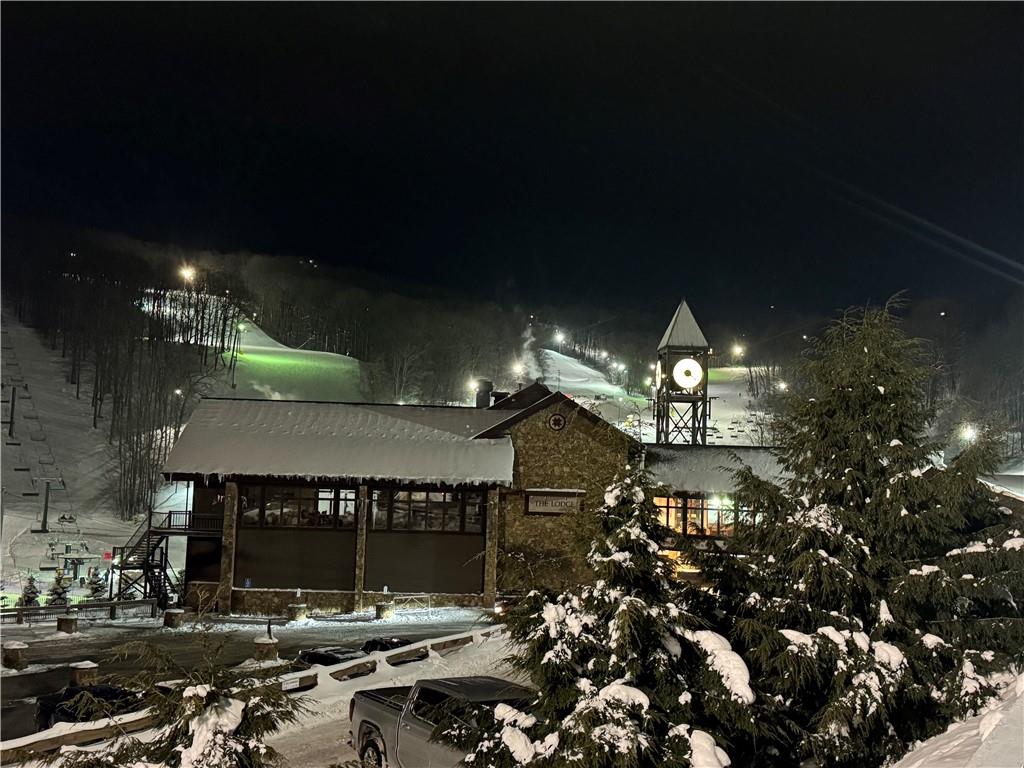 2713 Powder Ridge Road Hidden Valley, PA 15502 - Photo 29 of 30 a living room filled with lots of potted plants