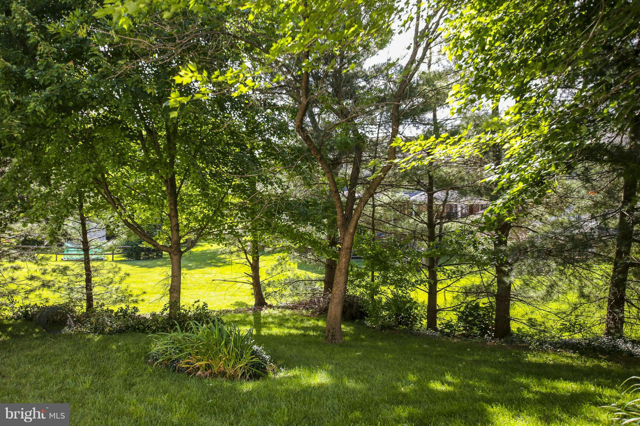 3605 Klausmier Road Baltimore, MD 21236 - Photo 2 of 25 Backs to open space