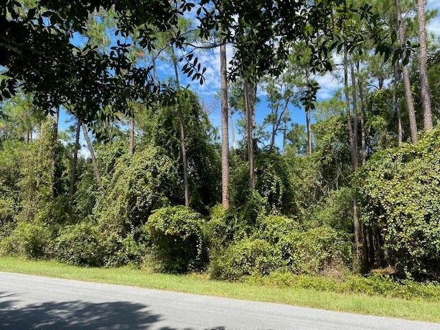Storys Ford Road Orlando, FL 32832 - Photo 1 of 1 Gallery Image 1
