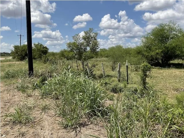 a close up of a white and green space