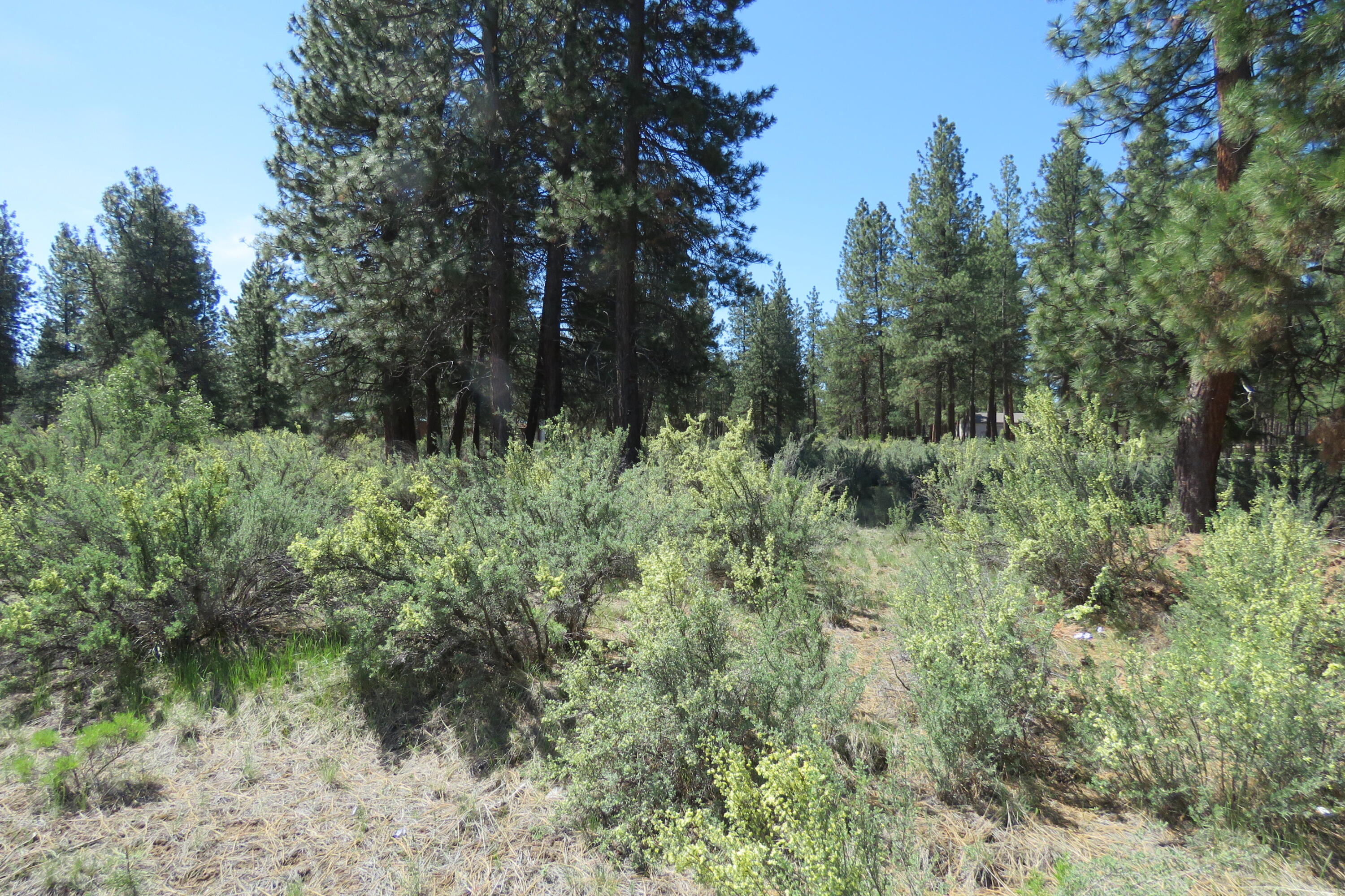 Castle Drive Chiloquin, OR 97624 - Photo 2 of 12 IMG_4561