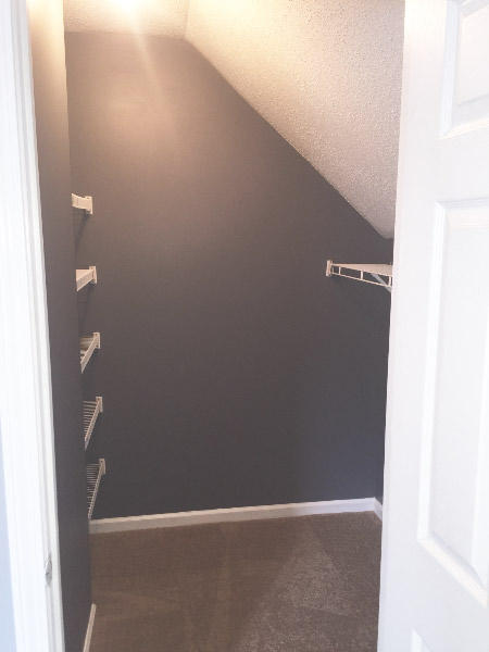3148 Queensgate Way Mount Pleasant, SC 29466 - Photo 15 of 24 15 upstiars bedroom walk in closet