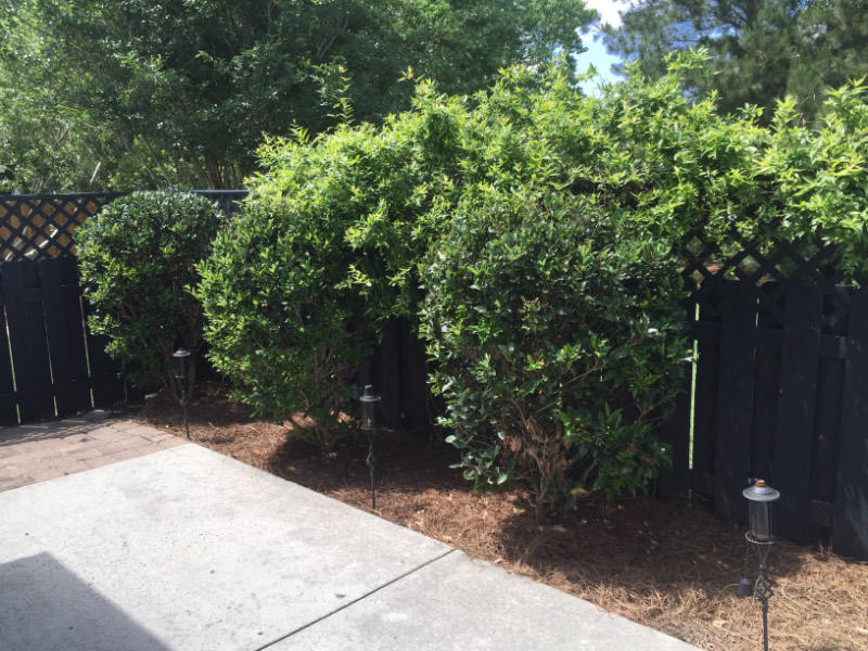 3148 Queensgate Way Mount Pleasant, SC 29466 - Photo 24 of 24 24 fenced in back patio