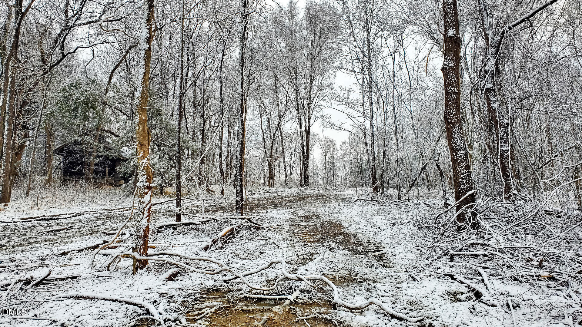 201 Briggs Road Hurdle Mills, NC 27541 - Photo 33 of 43
