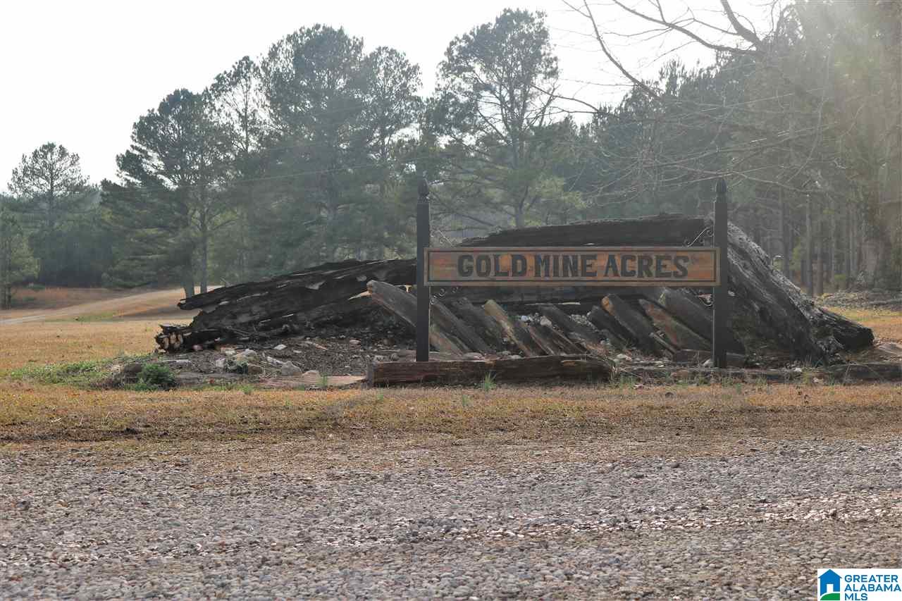 0 County Road 928, Unit 36 Delta, AL 36258 - Photo 3 of 20